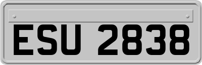 ESU2838