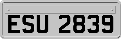 ESU2839