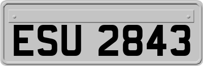 ESU2843