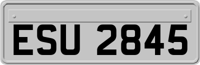 ESU2845