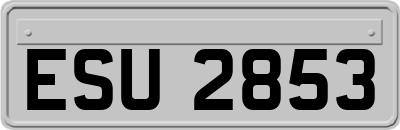 ESU2853