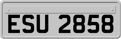 ESU2858