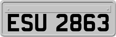 ESU2863