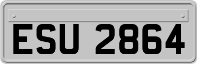 ESU2864