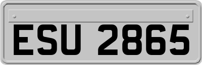 ESU2865
