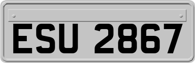 ESU2867