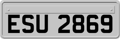 ESU2869