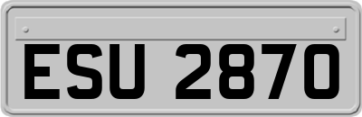 ESU2870