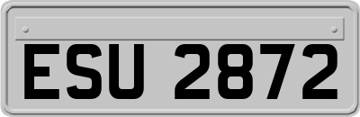 ESU2872