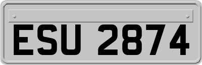 ESU2874