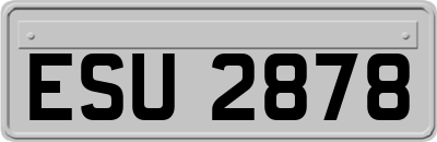 ESU2878