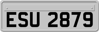 ESU2879