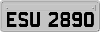 ESU2890