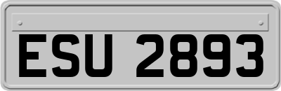 ESU2893