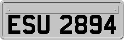 ESU2894