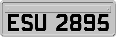 ESU2895