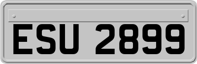 ESU2899