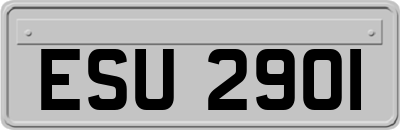 ESU2901