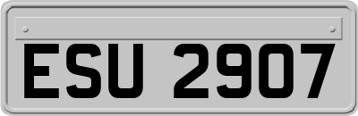 ESU2907