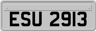 ESU2913