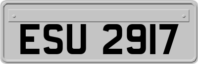 ESU2917