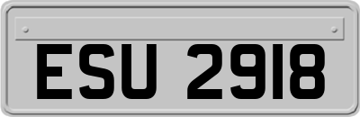 ESU2918