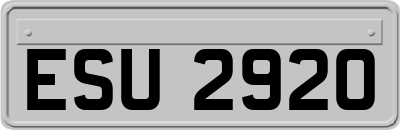 ESU2920