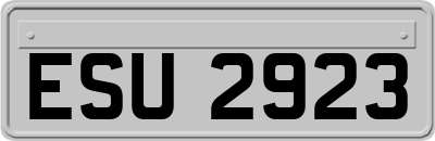ESU2923