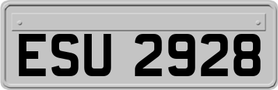 ESU2928