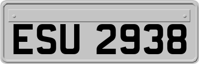 ESU2938
