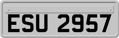 ESU2957