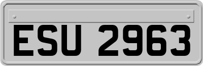 ESU2963