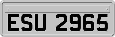 ESU2965