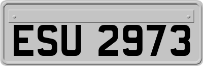 ESU2973