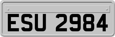 ESU2984