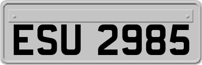 ESU2985