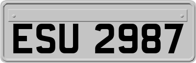 ESU2987