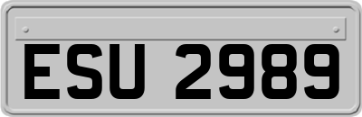 ESU2989
