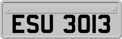 ESU3013