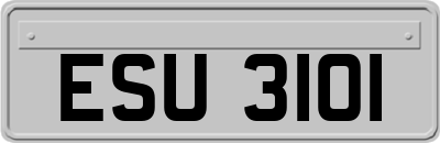 ESU3101