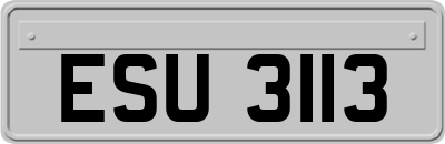 ESU3113