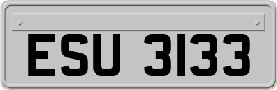 ESU3133