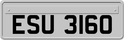 ESU3160