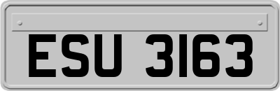 ESU3163