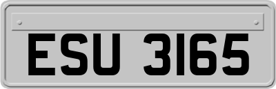 ESU3165
