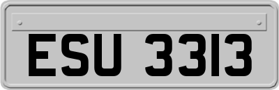 ESU3313
