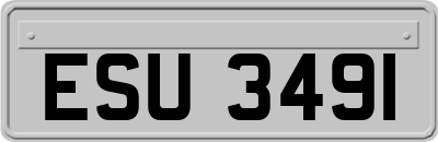 ESU3491