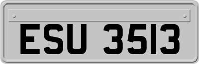 ESU3513