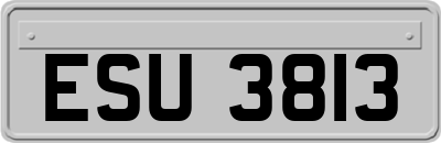 ESU3813