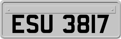 ESU3817